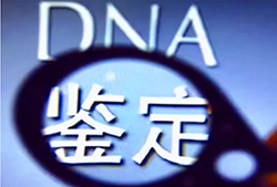 普洱个人DNA亲子鉴定多少钱一次