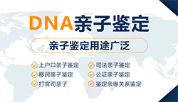 普洱个人DNA亲子鉴定哪里能办理，普洱隐私亲子鉴定准确吗