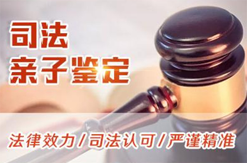 普洱司法DNA亲子鉴定详细流程,普洱权威司法亲子鉴定机构哪里有