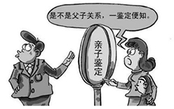 普洱在什么地方有正规的亲子鉴定中心，普洱正规的DNA鉴定收费多少钱