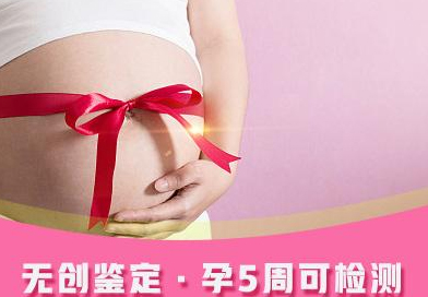 普洱怀孕46天需要怎么办理亲子鉴定,普洱产前亲子鉴定多少钱