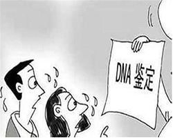 普洱在哪里有个人亲子鉴定，普洱隐私亲子鉴定费用是多少钱