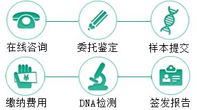 普洱同父异母半同胞鉴定