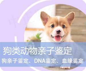 普洱狗类动物亲子鉴定