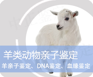 普洱羊类动物亲子鉴定