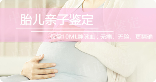 普洱无创胎儿亲子鉴定