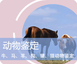 普洱动物鉴定
