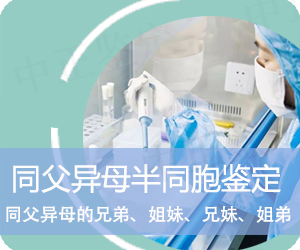 普洱同父异母半同胞鉴定