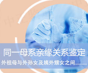 普洱同一母系亲缘关系鉴定