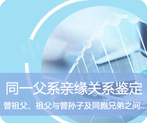 普洱同一父系亲缘鉴定