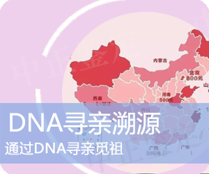 普洱DNA寻亲溯源